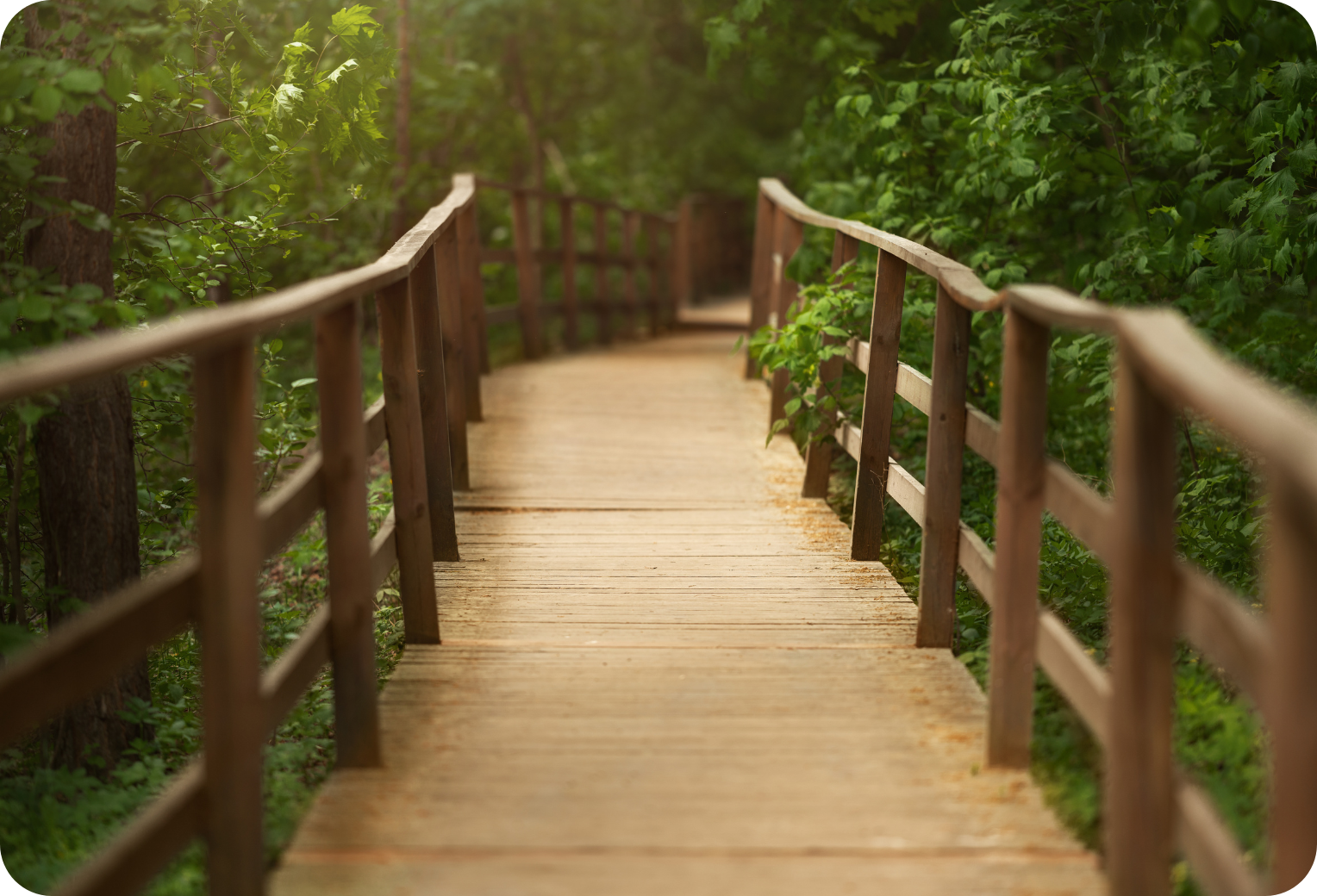 Agency to Private Practice: The Financial Realities Nobody Warns You About